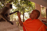 Rishikesh und Himalaya, Indien