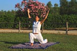 Meditation und Bewegung